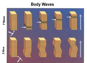 Representation of P waves and S waves